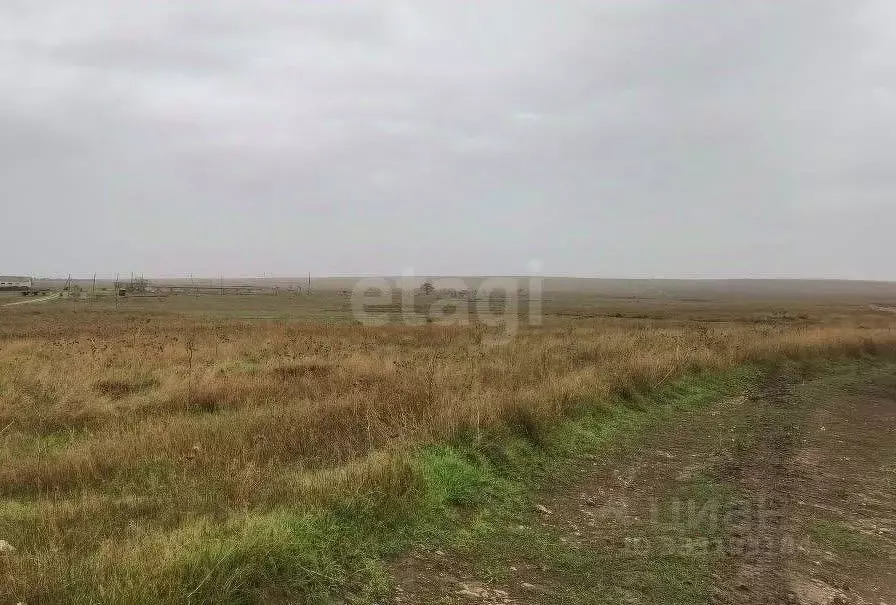 Участок в Крым, Черноморский район, Оленевское с/пос, с. Оленевка  ... - Фото 1