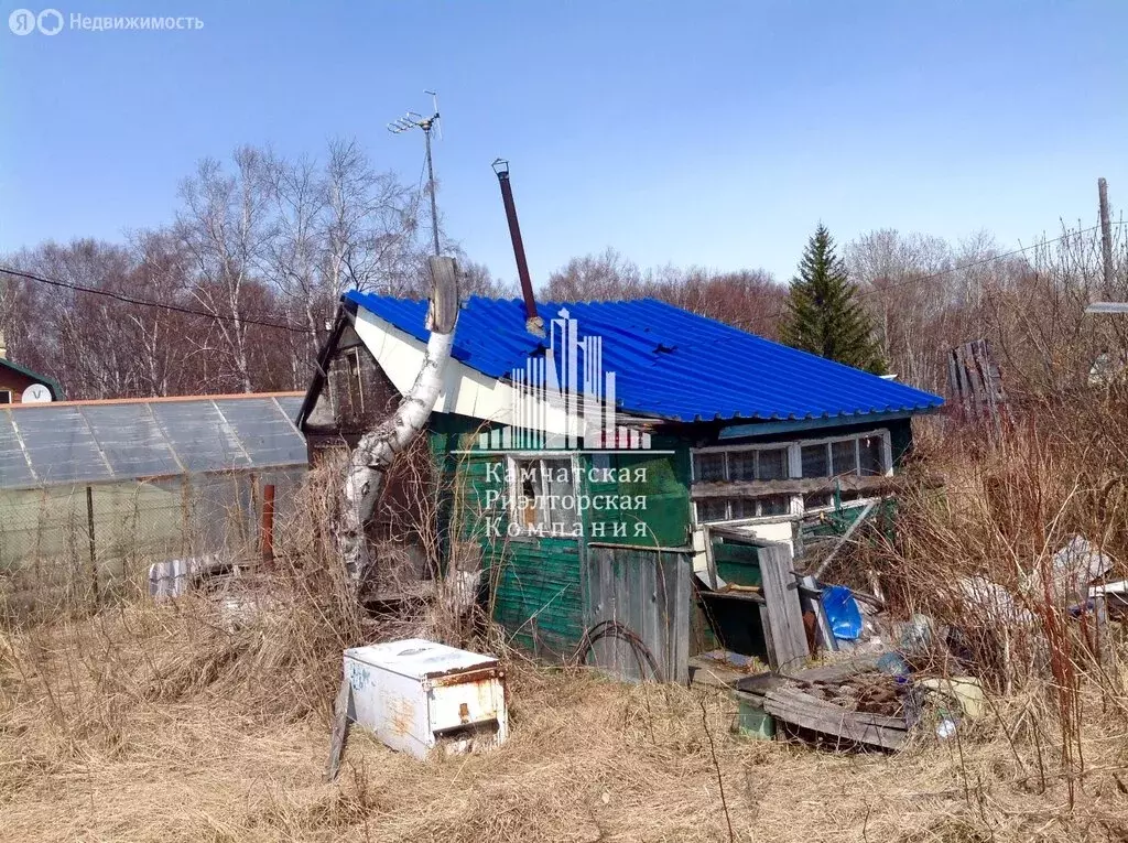 Участок в Елизовский район, СНТ Дружба (6.6 м) - Фото 1