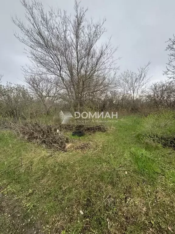 Участок в Ростовская область, Октябрьский район, пос. Персиановский, ... - Фото 2