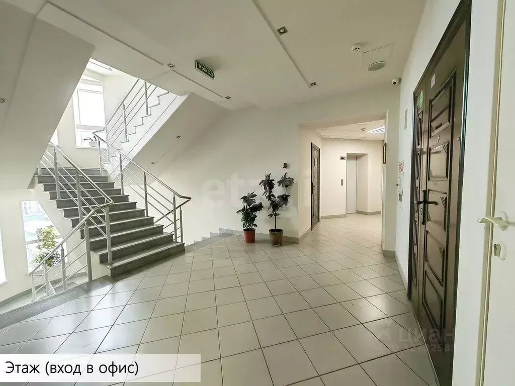 Офис в Новосибирская область, Новосибирск ул. Фрунзе, 80 (100 м) - Фото 1