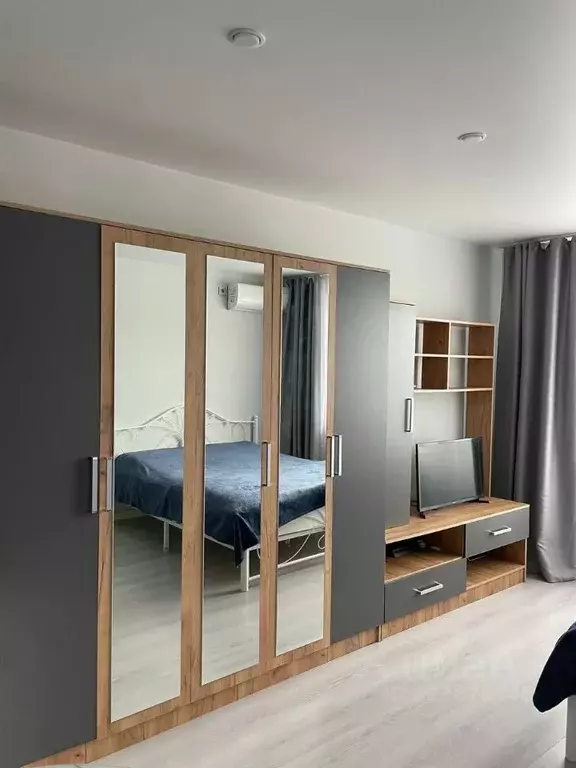 Студия Амурская область, Благовещенский район, с. Чигири Восточная ... - Фото 2