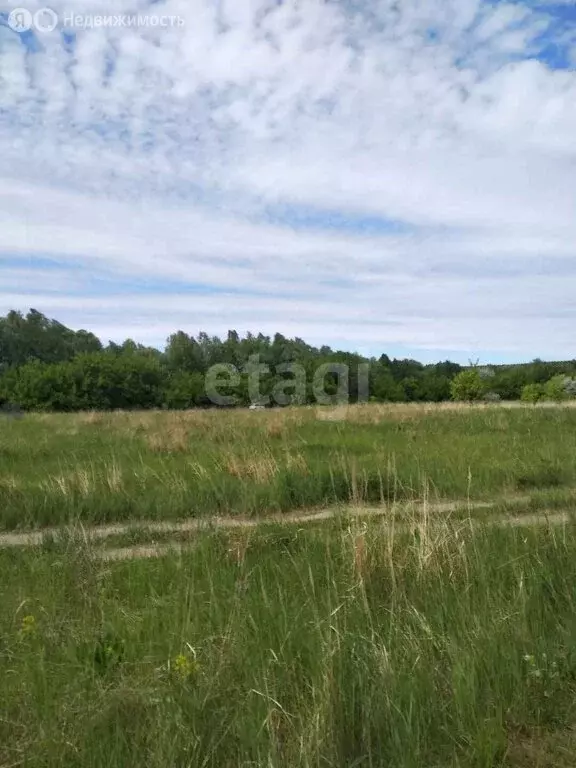 Участок в посёлок Колхозный, ДНП Гнездо (6.3 м) - Фото 1