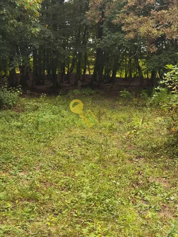 Участок в Краснодарский край, Апшеронский район, Нефтегорское ... - Фото 2