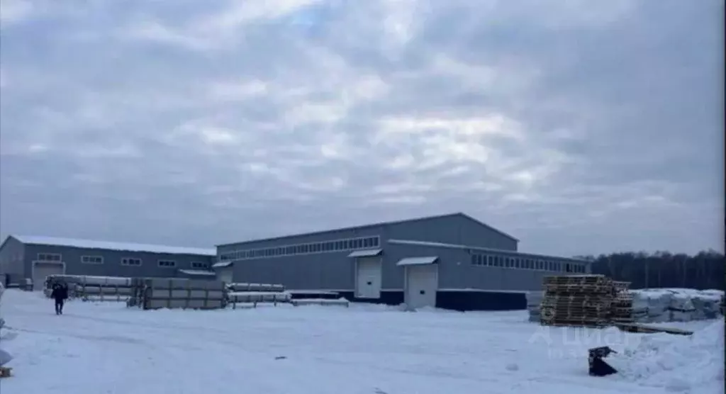 Помещение свободного назначения в Московская область, Ступино ... - Фото 1