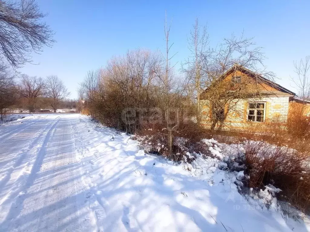 Дом в Псковская область, Островский район, Бережанская волость, д. ... - Фото 0