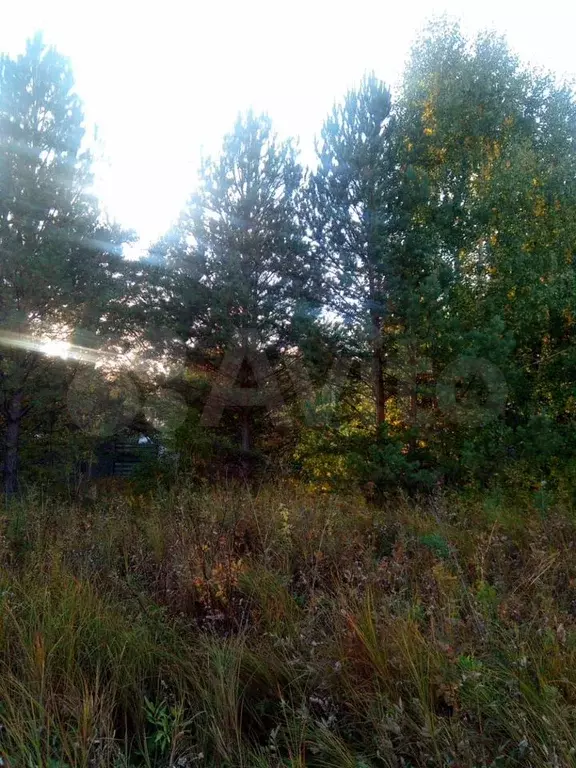 Участок 10 сот. (ИЖС) - Фото 0