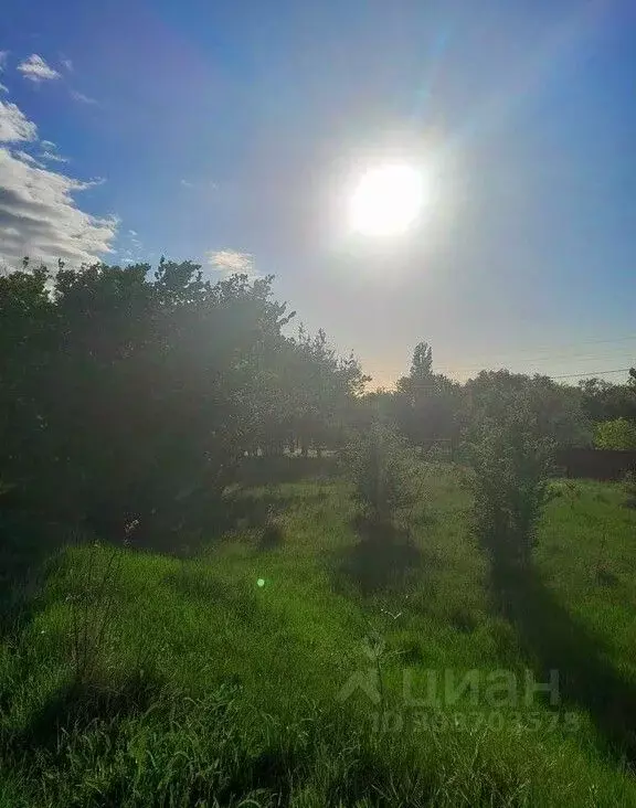 Участок в Ростовская область, Азовский район, с. Кулешовка Дачный ... - Фото 1