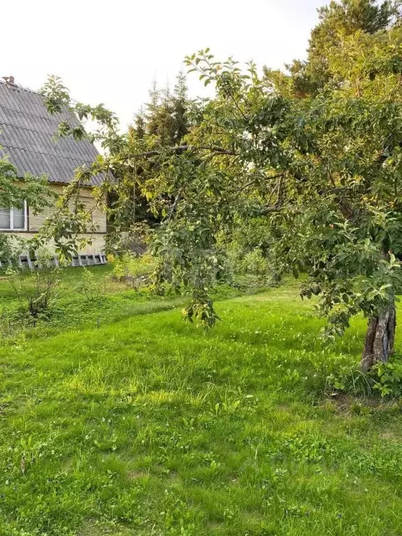 Дом в Ленинградская область, Кировский район, Синявинское городское ... - Фото 0