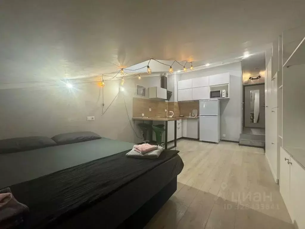 Студия Москва ул. Петра Романова, 7С1 (20.0 м) - Фото 2