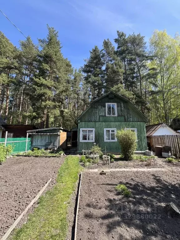 Участок в Свердловская область, Екатеринбург Дачник СТ, 40 (4.3 сот.) - Фото 1