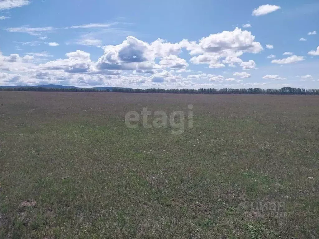 Участок в Бурятия, Кабанский район, с. Оймур  (151.0 сот.) - Фото 2