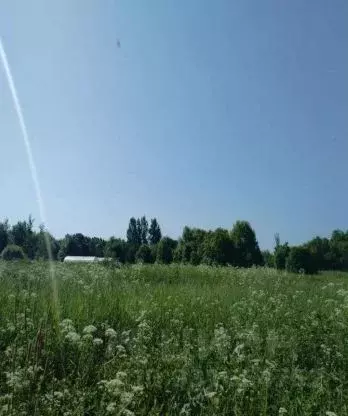 Участок в Московская область, Можайский муниципальный округ, д. ... - Фото 2