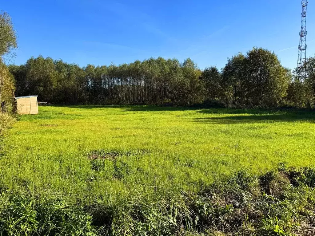 Участок в Московская область, Раменский муниципальный округ, Оттепель ... - Фото 1