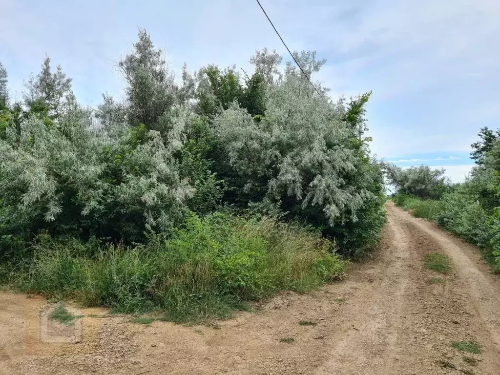 Участок в Крым, Сакский район, Новофедоровка пгт  (6.0 сот.) - Фото 1