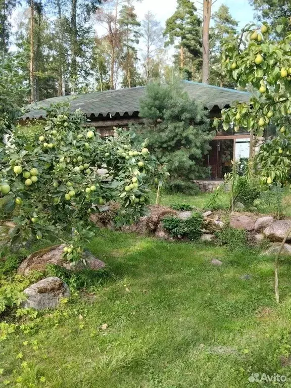Дом в Ленинградская область, Выборгский район, Приморское городское ... - Фото 1