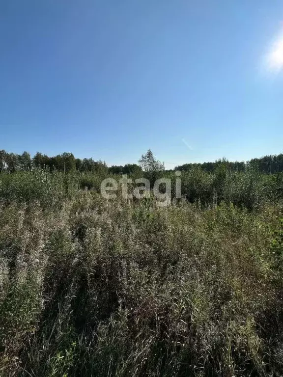 Участок в Томская область, Томский район, Слобода Вольная ДНП ул. ... - Фото 0