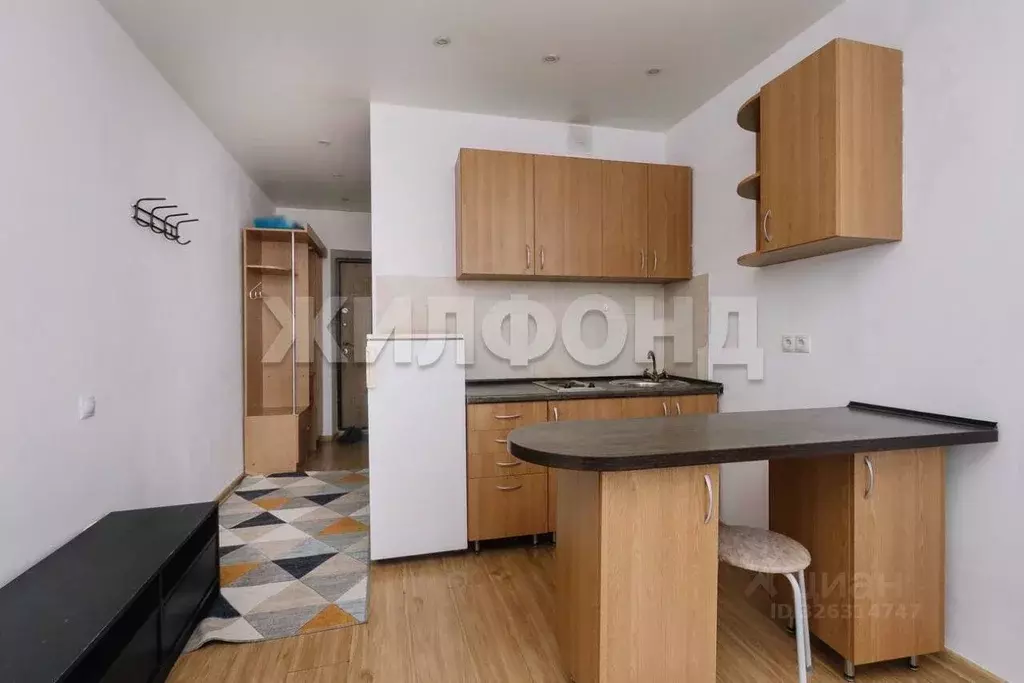 1-к кв. Новосибирская область, Новосибирск ул. Виктора Уса, 7 (20.0 м) - Фото 2