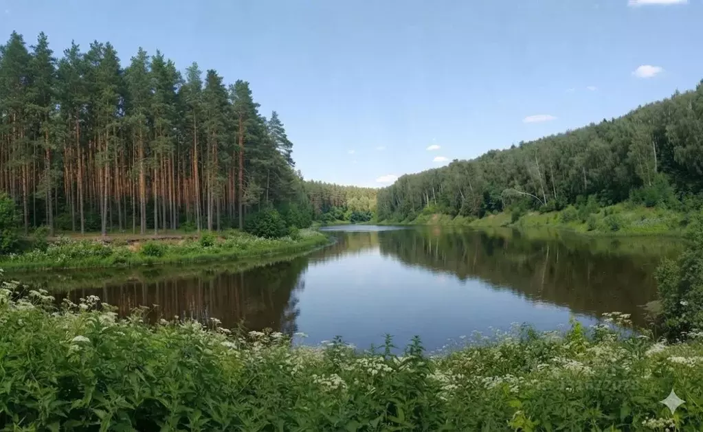 Участок в Московская область, Одинцовский городской округ, с. Лайково  ... - Фото 1