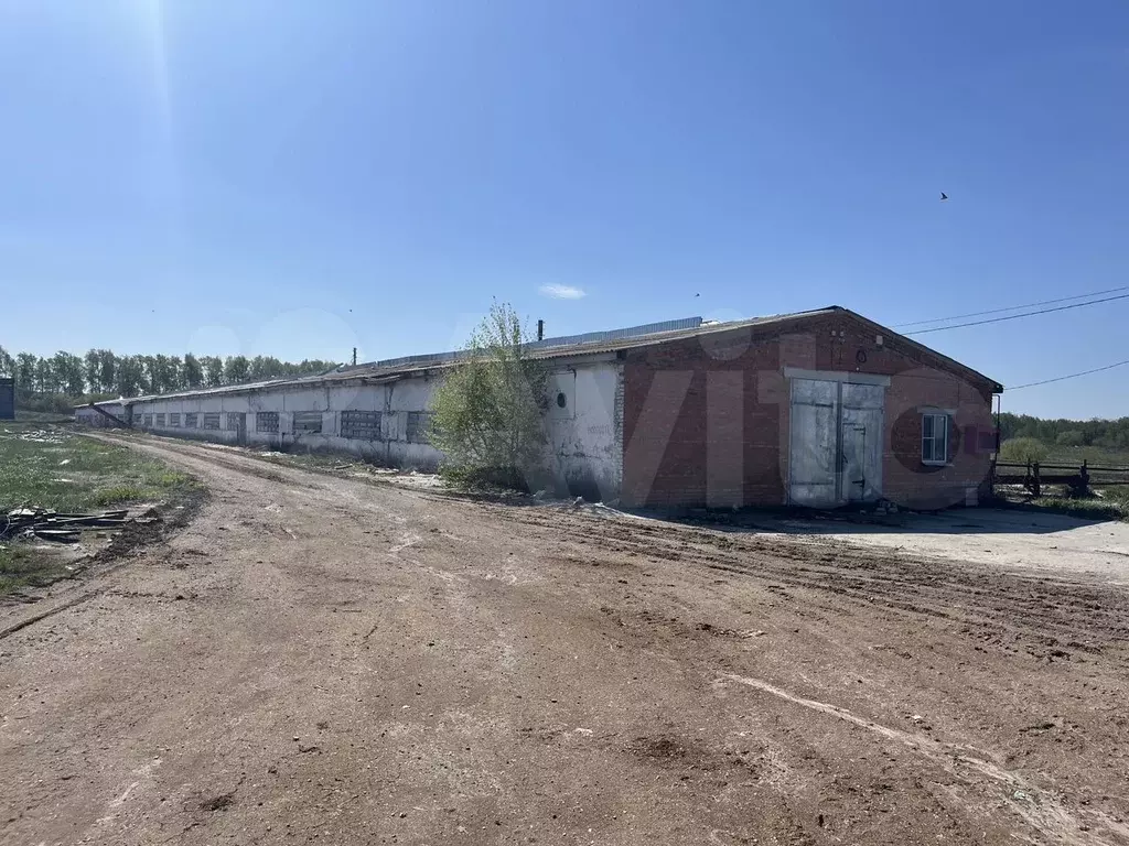 Свободного назначения (молочная ферма), 8 306,9 м2 - Фото 1