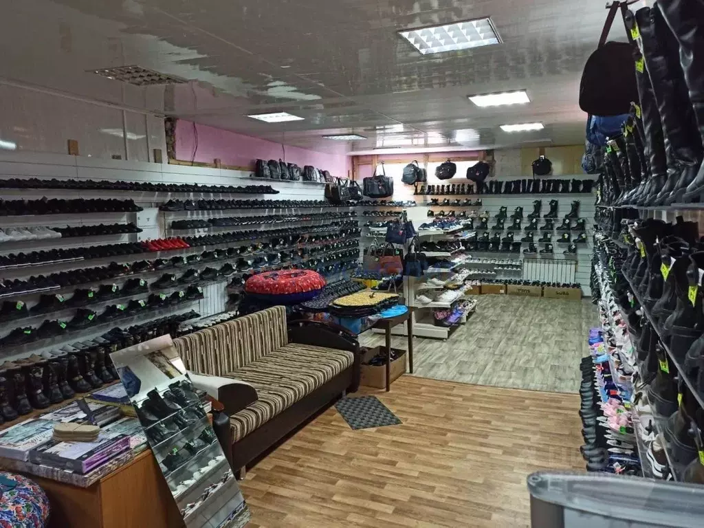 Помещение свободного назначения в Нижегородская область, с. Гагино ул. ... - Фото 1