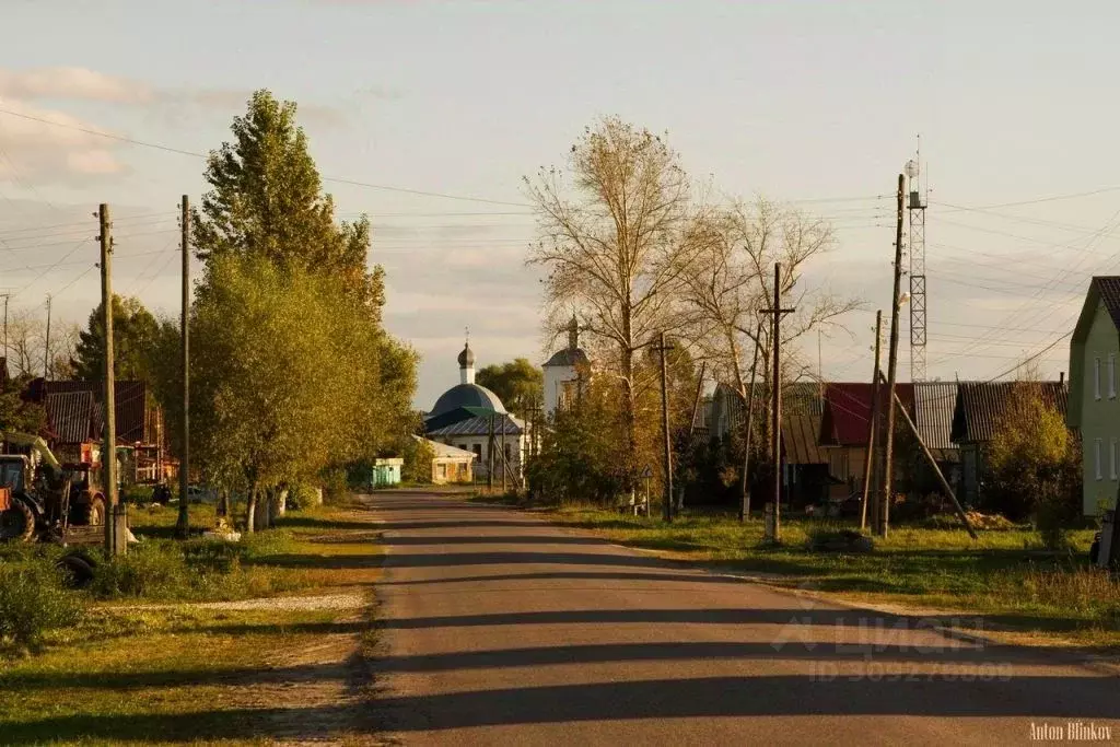 Участок в Владимирская область, Суздальский район, Селецкое ... - Фото 1