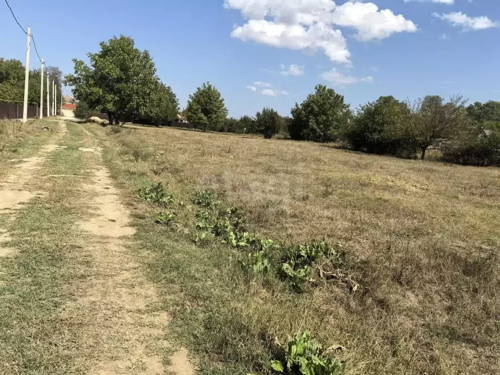 Участок в Краснодарский край, Тбилисский район, Песчаное с/пос, ... - Фото 1