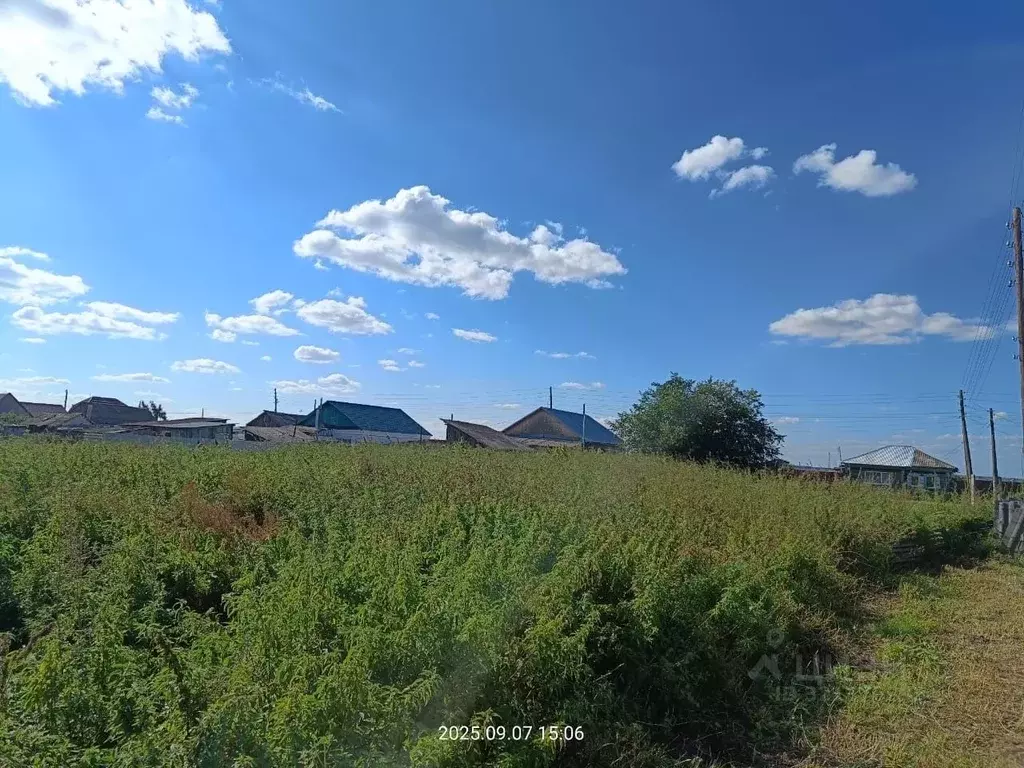 Участок в Курганская область, Щучанский муниципальный округ, с. ... - Фото 0