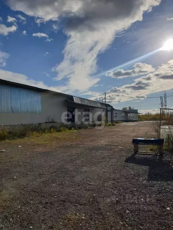 Помещение свободного назначения в Мордовия, Саранск ш. ... - Фото 1