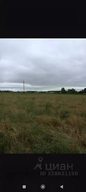 Участок в Башкортостан, Краснокамский район, с. Музяк ул. Мирная (10.0 ... - Фото 2