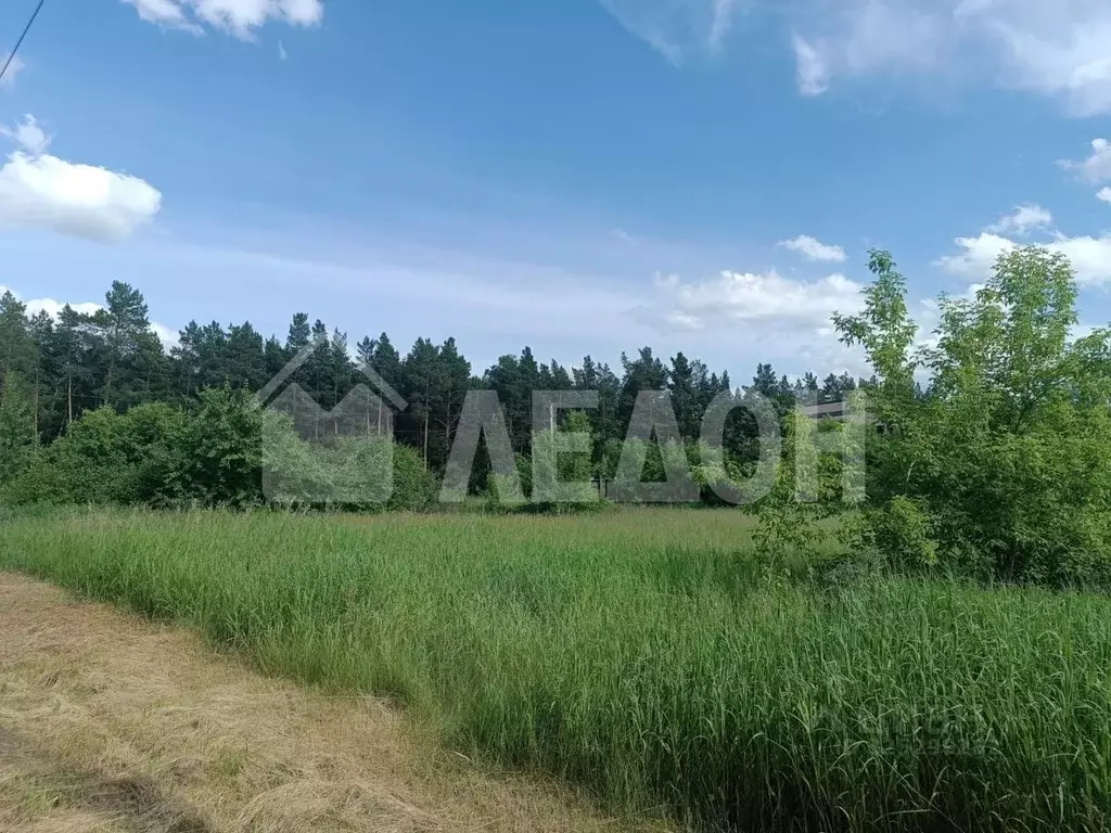 Участок в Омская область, Омский район, с. Усть-Заостровка ул. 4-я ... - Фото 2