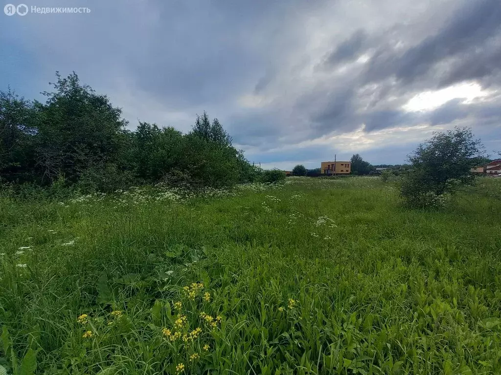 Участок в Ярославская область, Переславль-Залесский муниципальный ... - Фото 1