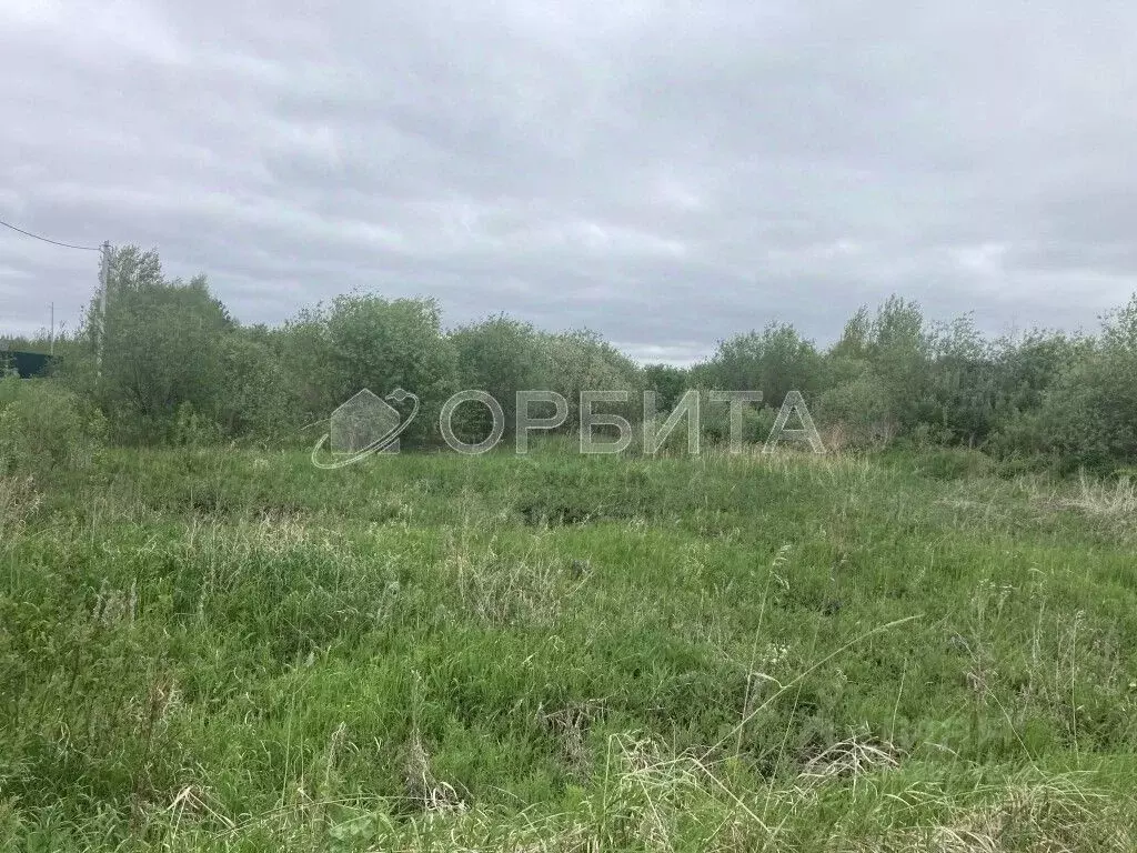 Участок в Тюменская область, Тюмень Поле Чудес-2 садовое товарищество, ... - Фото 1