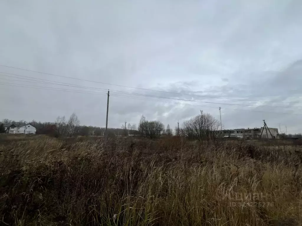 Участок в Брянская область, Брянский район, Добрунское с/пос, с. ... - Фото 1