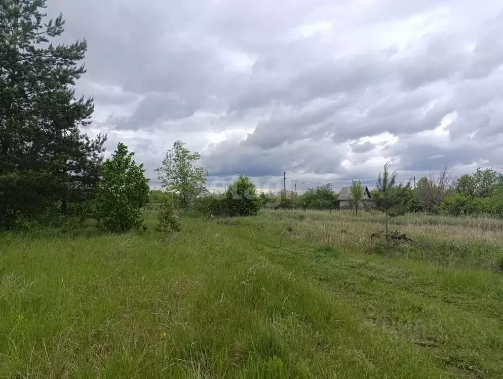 Участок в Воронежская область, Воронеж Березка СНТ, ул. 12-я (9.0 ... - Фото 0