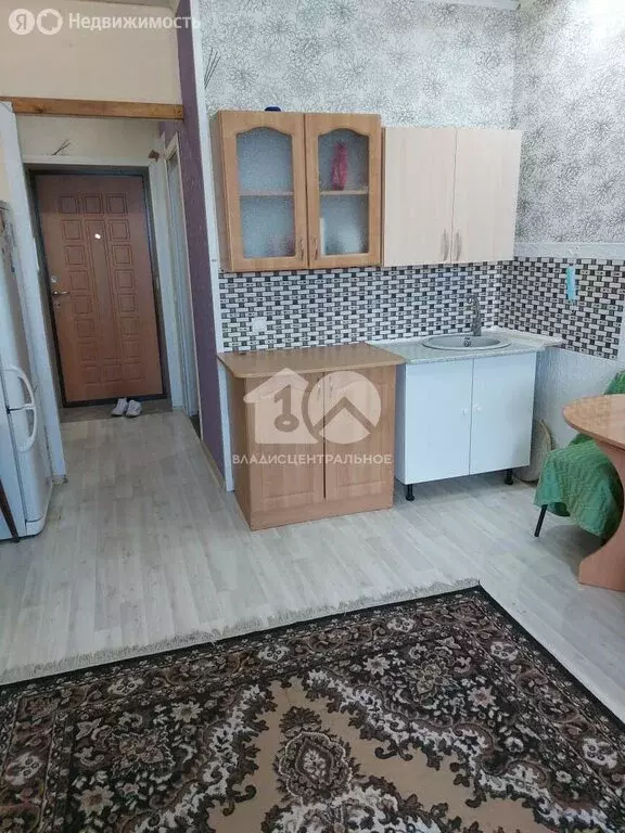 Квартира-студия: Каменка, микрорайон Олимпийской славы, 1 (24 м) - Фото 1