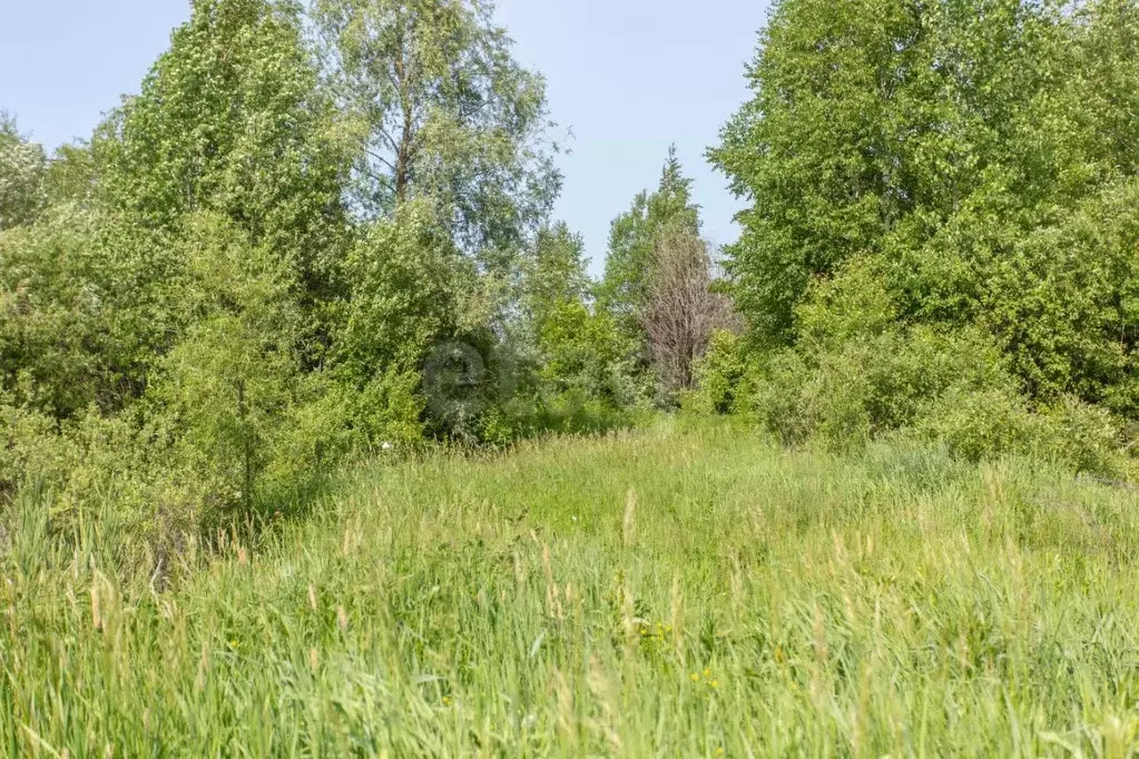 Участок в Тюменская область, Тобольск Дружба садоводческое ... - Фото 1