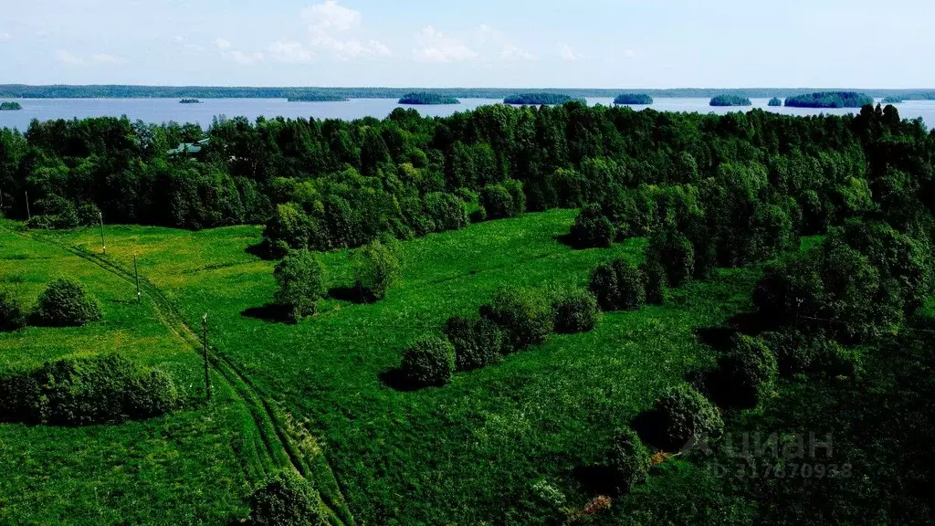 Участок в Карелия, Питкярантский район, Питкярантское городское ... - Фото 0