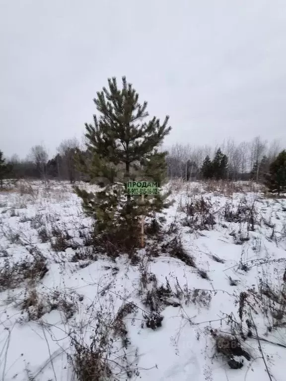 Участок в Тюменская область, Тюменский муниципальный округ, с. Кулига ... - Фото 2