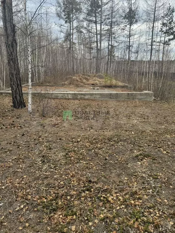 Участок 10 сот. (СНТ, ДНП) - Фото 1