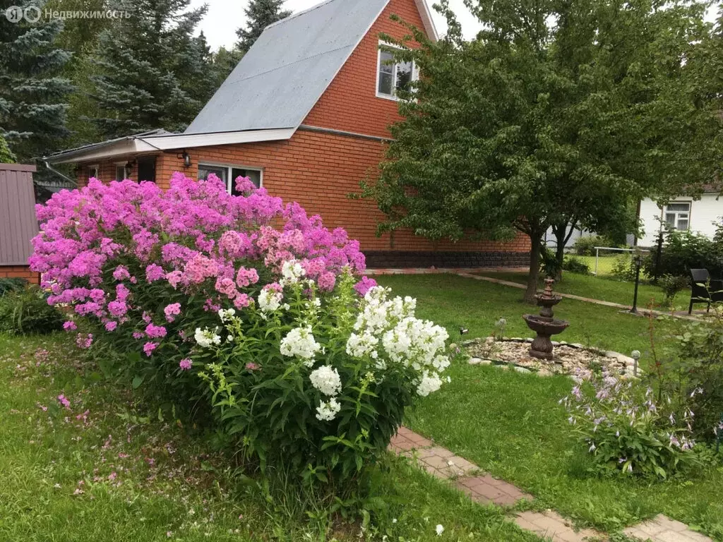 Дом в Московская область, Раменский муниципальный округ, СНТ Вега, 461 ... - Фото 1