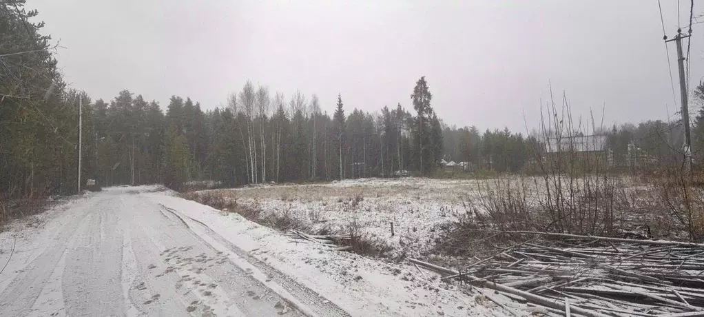 Участок в Коми, Сыктывкар городской округ, Верхняя Максаковка пгт, ... - Фото 1