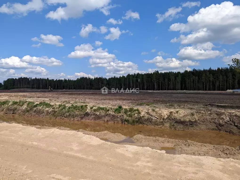 Участок в Ленинградская область, Всеволожский район, Колтушское ... - Фото 1