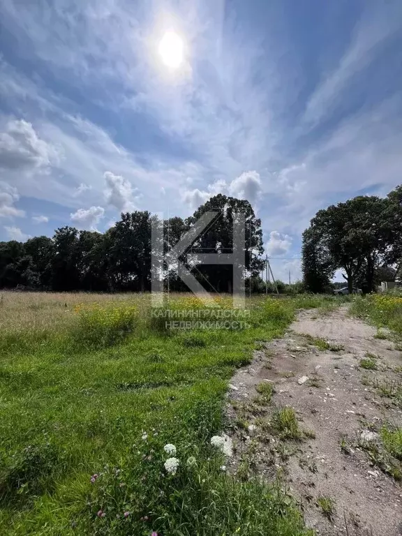 Участок в Калининградская область, Зеленоградский муниципальный округ, ... - Фото 2