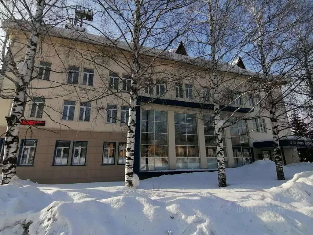 Помещение свободного назначения в Кемеровская область, Таштагол ул. ... - Фото 1