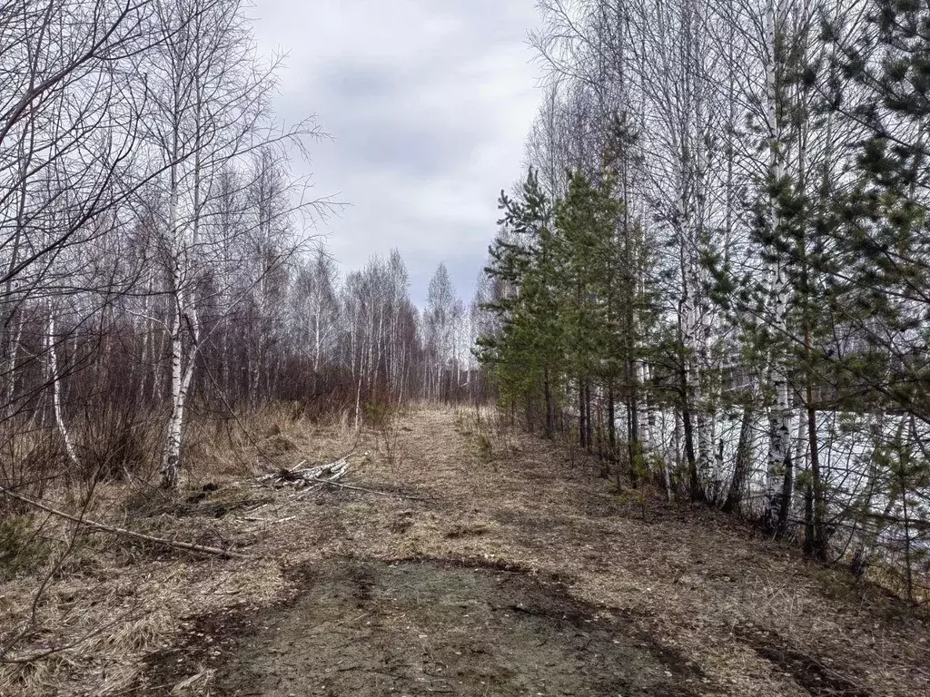 Участок, 7 сот., поселения (ижс) - Фото 0