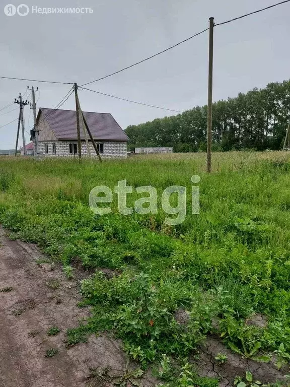 Участок в Солонцовский сельсовет, ДНТ Горизонт (15 м) - Фото 1