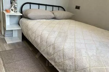 1-к кв. Пермский край, Пермь ул. Пушкина, 108 (12.0 м) - Фото 1