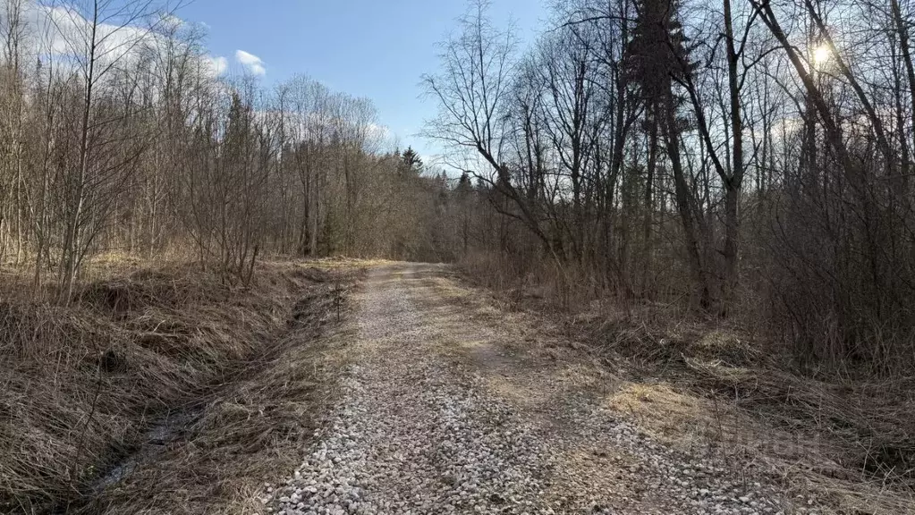 Дом в Новгородская область, Маловишерский район, Веребьинское с/пос, ... - Фото 2