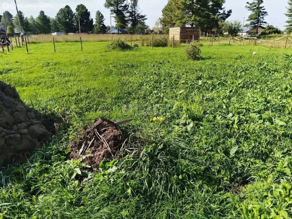 Участок в Томский район, село Коларово, улица Энтузиастов (7.5 м) - Фото 1