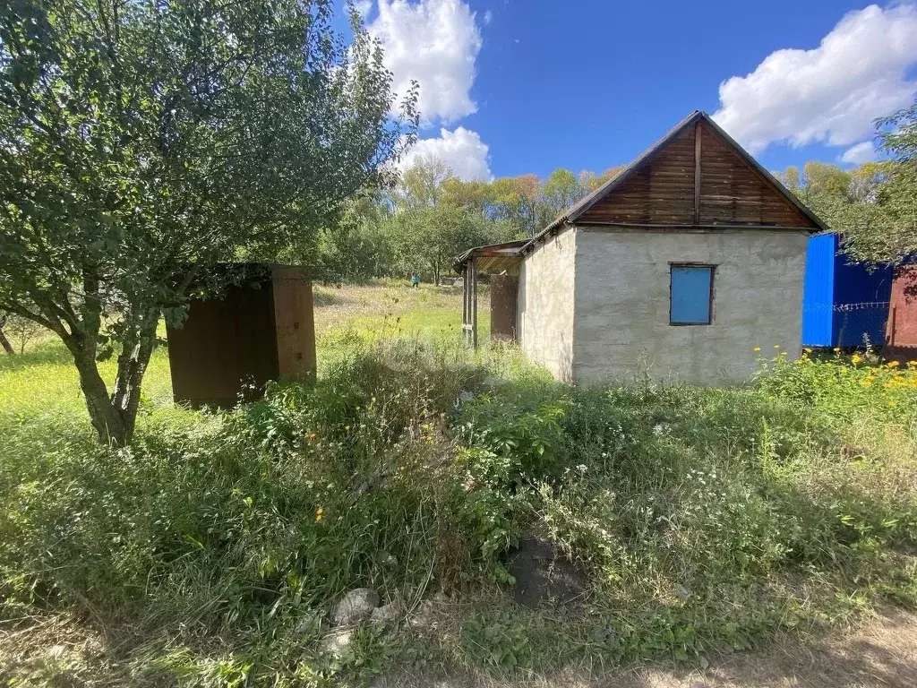 Дом в Белгородская область, Белгородский район, Тавровское с/пос, ... - Фото 1